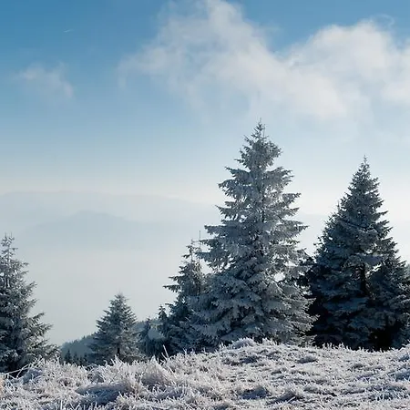 ľadoveň Skvelá Kuchyňa A Rodinná Atmosféra 4* Martin