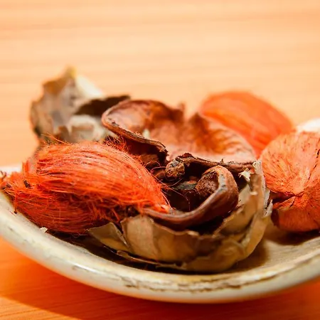 Casa de hóspedes ľadoveň Skvelá Kuchyňa A Rodinná Atmosféra Martin