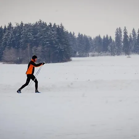 Ladoven Skvela Kuchyna A Rodinna Atmosfera Pensjonat 4*